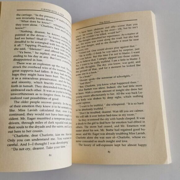 1989 A Room With a View Paperback Book, EM Forster Edwardian England Love Story - Picture 8 of 9